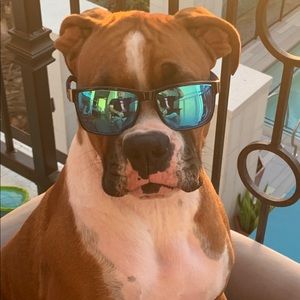 Meet your Posher, Brian and rebekah